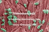 Trichomoniasis - Thermo Fisher Scientific...Trichomoniasis Involvement •Nebraska Cattlemen –Animal Health Vice Chair or Chair 2008 to Present –Legislation for Notification of
