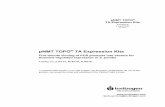 pNMT TOPO TA Expression Kits - Thermo Fisher Scientific€¦ · pNMT TOPO® TA Expression Kits Version D 9 April 2004 25-0404 pNMT TOPO® TA Expression Kits Five-minute cloning of