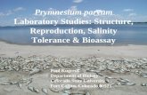 Laboratory Studies: Structure, Reproduction, Salinity Tolerance & Bioassay · 2011-08-02 · Prymnesium parvum Laboratory Studies: Structure, Reproduction, Salinity Tolerance & Bioassay