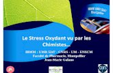 Le Stress Oxydant vu par les Chimistes…tersys.univ-avignon.fr/wp-content/uploads/sites/18/2017/...Conclusion Le stress oxydant rassemble àla fois les aspect de la chimie, biochimie,
