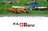 BEEF CATTLE SWITZERLAND HERDBOOK - Mutterkuh · cattle breeders. The Beef Cattle Herd-Book (FLHB), officially recognized since 1986, is an important tool for the Swiss Beef cattle