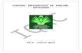 Central University of Punjabcup.edu.in/Syllabi/2019_21/IQAC/Ph.D/Ph.D. Economics.doc · Web viewCENTRAL UNIVERSITY OF PUNJAB, BATHINDA Ph.D. Course Work Department of Economic Studies