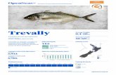 Trevally - OpenSeas · 2019-05-29 · Historic Catch Quantity Data: MOST RECENT ASSESSMENT . July 2017. MANAGEMENT AREAS ASSESSED. 1 & 7. ... including koha. New Zealand seafood is