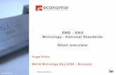 Metrology - National Standards...• routine calibrations • collaboration with and support to industrial metrology and research • a special attention towards the nanometrology