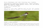 of Argentina 2019... · Web viewFrom there we will travel northwards to the province of Jujuy, to our first birding destination: Eco-portal de Piedra. This nice accommodation with