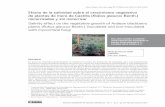 Efecto de la salinidad sobre el crecimiento vegetativo de plantas … · 2018-03-08 · tes concentraciones de solución salina (0, 40, 80 y 120 mM NaCl) sobre el crecimiento vegetativo