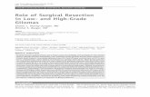 Role of Surgical Resection in Low- and High-Grade Gliomas · Curr Treat Options Neurol (2014) 16:284 DOI 10.1007/s11940-014-0284-7 NEURO-ONCOLOGY (R SOFFIETTI, SECTION EDITOR) Role