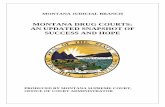 MONTANA DRUG COURTS: AN UPDATED SNAPSHOT OF … · 2013-12-16 · professionals. The judge manages a team of court staff, attorneys, probation officers, substance abuse counselors