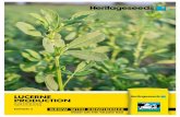 LUCERNE PRODUCTION - Barenbrug · forage yield and seed production objectives. Critical plant density trial Lucerne plant density will have implications for the yield and fodder quality