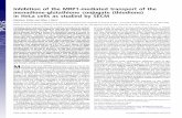 Inhibition of the MRP1-mediated transport of the menadione ...bard.cm.utexas.edu/resources/Bard-Reprint/900.pdf · Inhibition of the MRP1-mediated transport of the menadione-glutathione