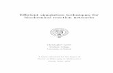 E cient simulation techniques for biochemical reaction networkspeople.maths.ox.ac.uk/lesterc/pdfs/thesis.pdf · 2017-10-28 · E cient simulation techniques for biochemical reaction
