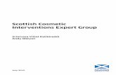 Scottish Cosmetic Interventions Expert Group · SMASAC Scottish Medical and Scientific Advisory Committee UDI Unique Device Identifier . 6 1. Executive Summary This report summaries