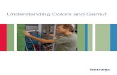 Understanding Colors and Gamut - Telestream...Contact Tektronix: ASEAN / Australasia (65) 6356 3900 Austria* 00800 2255 4835 Balkans, Israel, South Africa and other ISE Countries +41