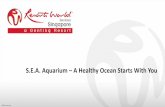 S.E.A. Aquarium A Healthy Ocean Starts With You...S.E.A. Aquarium Assembly Programme Our e-resource comes with instructions on executing the brainstorming session. However, if you