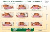 Baby Feeding Cues (signs) · 2019-04-12 · Baby Feeding Cues (signs) EARLY CUES - “I’m hungry” MID CUES - “I’m really hungry” LATE CUES - “Calm me, then feed me”
