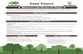 Tree Trails 5 - Texas A&M Forest Service 2015-02-26¢  Tree Trails curriculum was developed by Texas