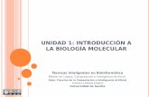 UNIDAD 1: INTRODUCCIÓN A LA BIOLOGÍA MOLECULARfran/TIB/semana1.pdf · UNIDAD 1: INTRODUCCIÓN A LA BIOLOGÍA MOLECULAR Técnicas Inteligentes en Bioinformática Máster en Lógica,
