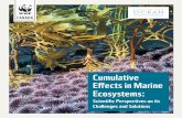 Cumulative Effects in Marine Ecosystems - WWF …awsassets.wwf.ca/downloads/cumulativeeffects__updated...page 6 WWF-Canada / Center for Ocean Solutions Cumulative effects in marine