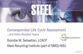 Consequential Life Cycle Assessment/media/Files/Autosteel/Great...1969 Coca-Cola Company performs first LCA 1970s LCA develops from energy analysis to a comprehensive environmental