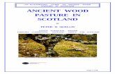 ANCIENT WOOD PASTURE IN SCOTLANDparticular the range of both natural and historical features that make wood pastures ... In fact there is a very wide range of types of wood pasture: