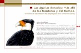 Boletín Museo del Oro No. 48 - ALMENDRON.COM€¦ · su forma a los pectorales tairona y muisca (Whitehead, 1990). En territorio colombiano, se han reportado en la región del Zenú