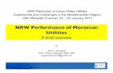 NRW Performance of Moroccan Utilities · AMENDIS, RADEEF, RADEEM, RADEEMA and RAMSA, all apply the same target age of 10 years for meter replacement, whereas LYDEC has an average