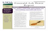 Emerald Ash Borer Report - University of Missouriextension.missouri.edu/treepests/documents/EABreport091815.pdf · Emerald Ash Borer Biological Control Field Release Guidelines 2015