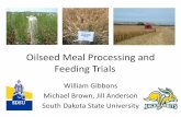 Oilseed Meal Processing and Feeding Trials · 2020-02-11 · Oilseed Meal Processing •Reduce glucosinolates •Reduce oligosaccharides, fiber, pectin •Increase protein and limiting