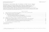 Phylogeny and Molecular Evolution of the Green 2014-01-01¢  Phylogeny and Molecular Evolution of the