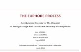 THE EUPHORE PROCESSsfcu.at/wp-content/uploads/2018/11/EuPhoRe-Process1.pdfDesign Capacity t SS/a 53,000 8,000 Investment Costs m € 15.0 est. 6.5 est. Operation Costs € /t SS 40