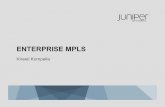 ENTERPRISE MPLS - Juniper Networksforums.juniper.net/jnet/attachments/jnet/BAJUG/2/1/bajug 1 Enterprise MPLS.pdfWHAT IS MULTI-PROTOCOL LABEL SWITCHING? Forwarding paradigm: what should