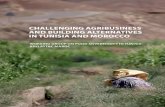CHALLENGING AGRIBUSINESS AND · system in North Africa and the Maghreb which itself was the result of 19th century colonialism when an extractive process of accumulation and seizure