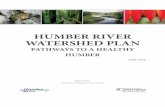 Humber river WatersHed Plantrca.on.ca/dotAsset/50159.pdfHumber River Watershed Plan, 2008 v 2006. The removal of in-stream barriers is allowing rainbow trout, brown trout and salmon