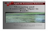 Managing and Controlling Algae in Ponds...dense blooms will eventually dieoff due to nutrient limitations, and sometimes collapse during massive -offs. Massive algal bloom collapse