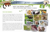 MEET THE ANIMAL STARS ON - Little Zoo That Could...MEET THE ANIMAL STARS OF THE LITTLE ZOO THAT COULD TV SERIES VD BIG & LITTLE CATS African lion Lady, affectionately called “Bug”