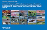 SNH Research Report 882: South Arran MPA diver survey of ... 2018... · South Arran MPA diver survey of maerl beds, kelp and seaweed communities on sublittoral sediment, and seagrass
