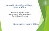 Biogas Success story in Africa - ECREEEAnaerobic digestión and biogas plants in Africa Integrated organic mater management for a Sustainable Agroindustrial sector Biogas Success story