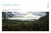 Chapelton, Balloch - Microsoftbtckstorage.blob.core.windows.net/site2688...Balloch Farm Community Consultation No. 2: 20th June 2019 Thank you Thank you for giving your feedback following