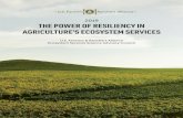 2019 THE POWER OF RESILIENCY IN AGRICULTURE’S ECOSYSTEM … · 2019-08-12 · collective opportunity to harness agricultural ecosystem services to build the sustainable food systems