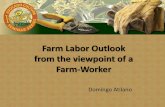 Farm Labor Outlook from the viewpoint of a Farm-Workerindexfresh.com/wp-content/uploads/2015/10/seminar10-atilano.pdfFarm Labor Outlook from the viewpoint of a Farm-Worker Domingo