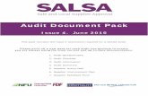 Audit Document Pack - SALSA Auditor... · Audit Document Pack Issue 4. June 2015. AUDIT QUESTIONNAIRE ... breakages, along with a list of relevant glass and brittle items to be checked,