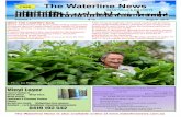 The Waterline News · FREE The Waterline News GRANTVILLE & DISTRICTS Volume 1 # 12 August 2015 MEET THE COMFREY MAN 59 year old Graeme Little farms 2500 comfrey plants on his 20 hectare