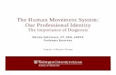 The Human Movement System: Our Professional Identity The Human Movement System: Our Professional Identity