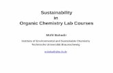 Sustainability in Organic Chemistry Lab Courses€¦ · Sustainability in Organic Chemistry Lab Courses Müfit Bahadir Institute of Environmental and Sustainable Chemistry Technische
