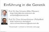 Einführung in die Genetik - Technische Universität München€¦ · Einführung in die Genetik - Inhalte 1 Einführung 18. 10. 11 KS 2 Struktur von Genen und Chromosomen 25. 10.