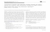 Assessment of genetic and epigenetic changes during cell ... · Keywords Chromosome number DNA methylation Genetic and epigenetic stability Long-term cell culture Molecular markers