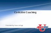 Co-Active Coaching - Synthetic Warehouse Development … · Co-active coaching recognizes what may seem obvious: the decisions we make are interconnected. Dealers don’t, or anyone