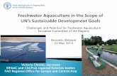 Challenges and Potential for freshwater Aquaculture ... Dr. Vic… · FAO Regional Office for Europe and Central Asia Challenges and Potential for freshwater Aquaculture European
