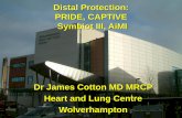 Distal Protection: PRIDE/CAPTIVE AIMI Symbiot III€¦ · Dr James Cotton MD MRCP Heart and Lung Centre Wolverhampton. Pathology. 16.3 16.5 11.6 18.6 9.6 9.9 0 5 10 15 20 EPILOG SAFER