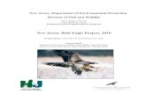 Bald Eagle Project Report, 2019 · Bald eagles, ospreys, and peregrine falcons nesting in the region have shown some reproductive impairment relative to other areas (Clark et al.